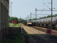 Sznszllts